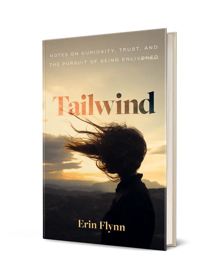 Tailwind by Erin Flynn book cover
